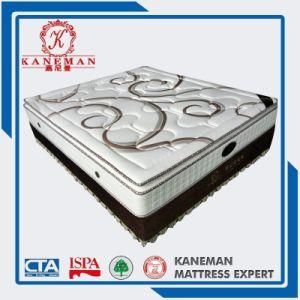 Where to Buy High and Euro Pillow Top Spring Mattress/Memory Foam Pocket Spring Mattress
