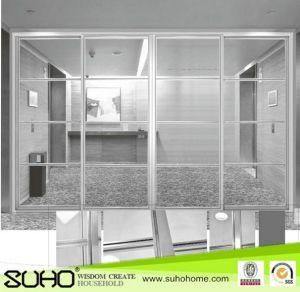 Aluminium Partition Door