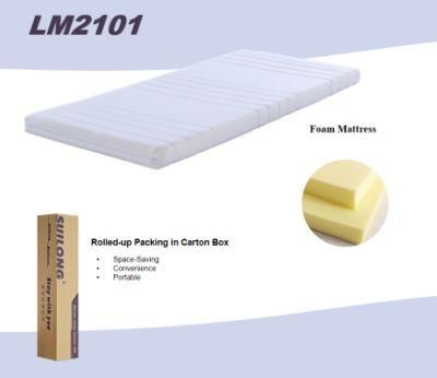 Customized Rectangular Dreamleader/OEM Compress and Roll in Carton Box Natural Latex Foam Mattress