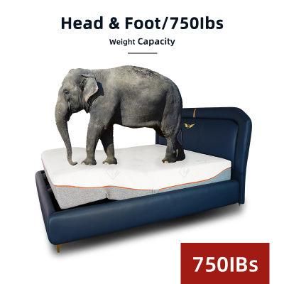 Modern Adjustable Bed Frame Queen