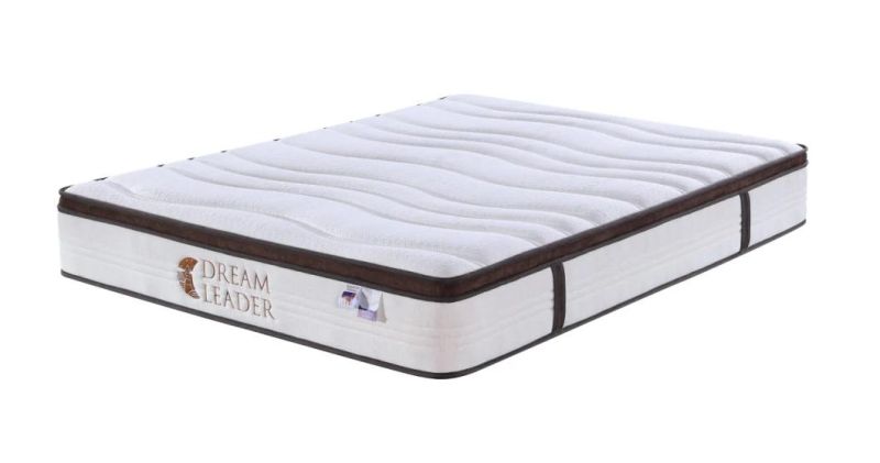 Modern Design Queen Euro Top Pocket Spring Natural Latex Mattress