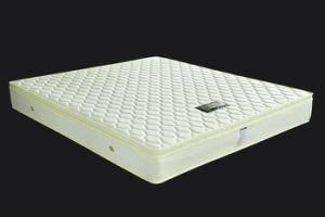 Classic Memory Foam Pocket Spring Roll Packing Mattress