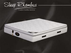 Compressed 3 Zone Pocket Spring Mattress for Hotel (FL-491)