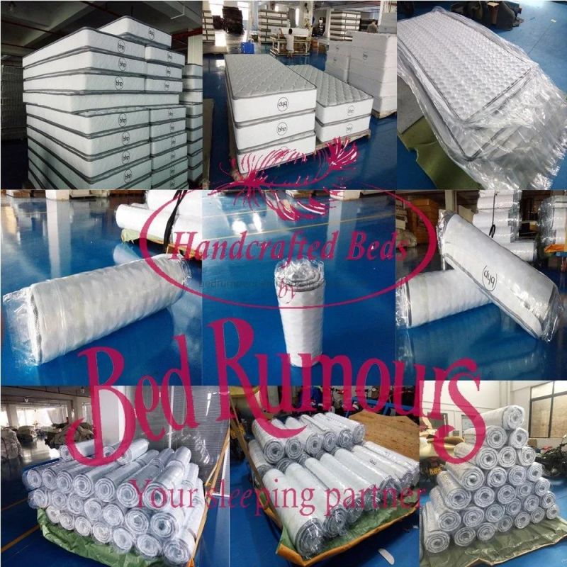 China Wholesale 10" Latex Pocket Spring Mattress Coconut Fiber Mattress Wholesale Mattress