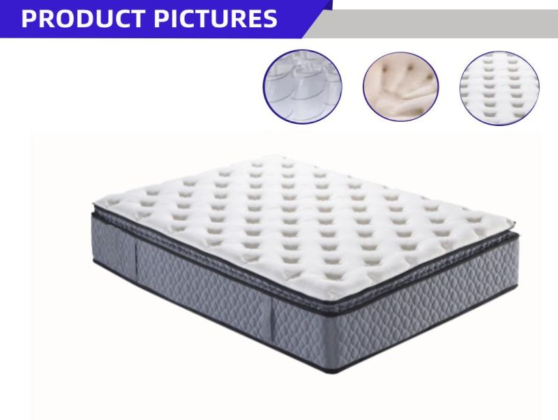 King Hotel Compressed Memory Foam Bed Natural Latex Topper Pad Sponge Coil Spring Mattress