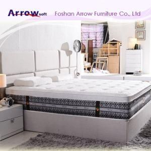 Organic Cotton Fabric Rolled up Independent Pocket Coil Spring Mattress