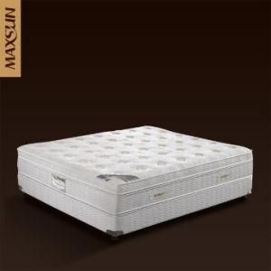 Newest Popular Foam Mattress (MS-Steriges)