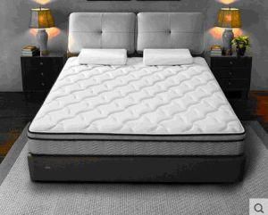 Hotel Latex Mattress, Pocket Spring Mattress/Stock Mattress (MS-2)