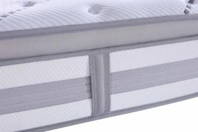 Medium New Dreamleader/OEM Compress and Roll in Carton Box Novilia Backcare