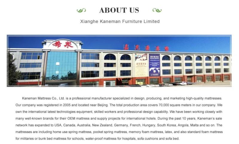 Rolled Packing High Density Foam Spring Mattress Wholesale Bedroom Mattress