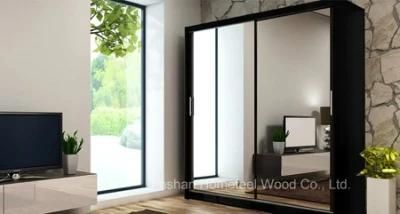 Interior Modern Mirror Sliding Door Design Home Wardrobe (HF-EY019)