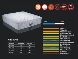 Good for Health King Mattress (FL-030)