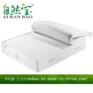 Separable Talalay Latex Pocket Spring Mattress (ZRB-809)