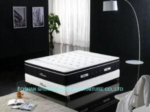 Mattress/Hotel Mattress/Home Mattress (MA20)