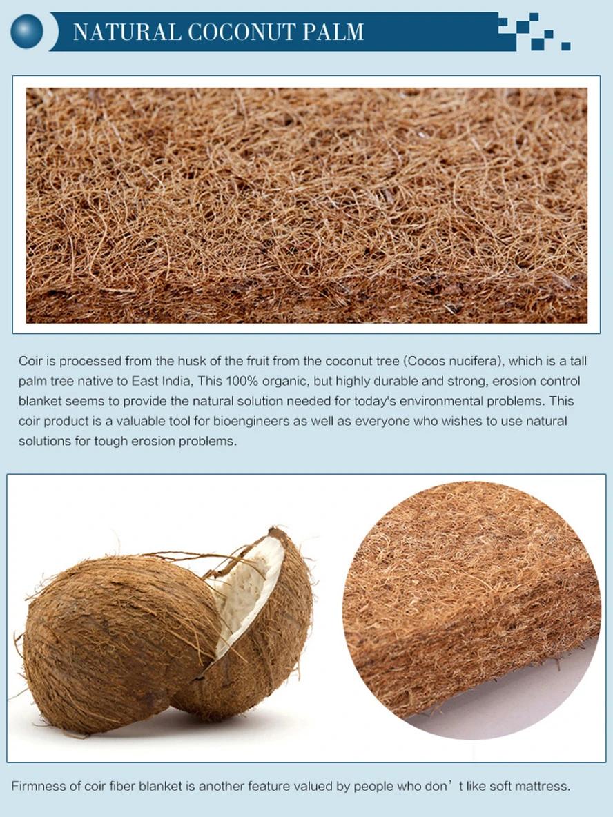 Home Use Firm Coconut Coir Mattress with Competitive Price