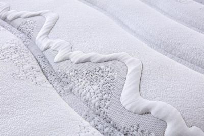 Soft and Luxurious High-End Hotel Rolling Packing Mattress in Boxs