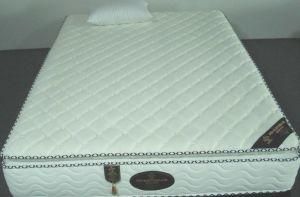 2013 New Design Memory Foam Mattress (FL-049)