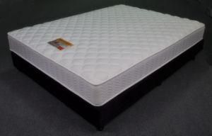 Super Single Pillow Top Mattress Hotel Mattress (FL-342)