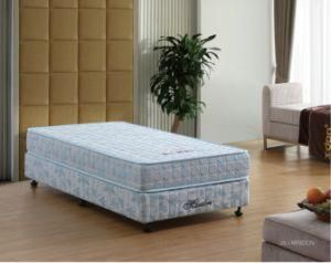 Foam Mattress/Latex Mattress (M006) Roll Memory Mattress /Mattress
