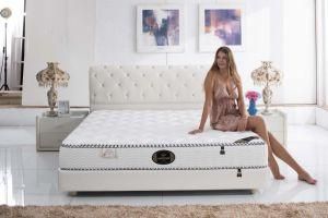 Five-Fold Palm Fiber Mattress/Pocket Spring Mattress