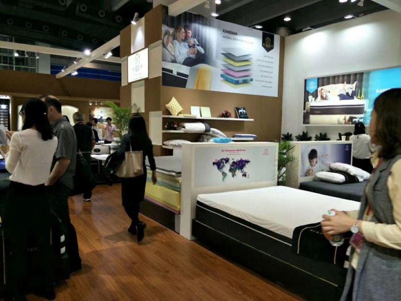 Cheap Price Luxury Latex Pocket Spring Mattress