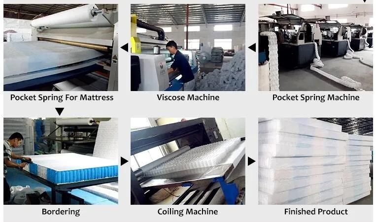 OEM Furniture Independent Mattress Coil Spring Pocket Spring for Mattress