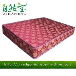 Cheap Price Continuous Thermal Spring Mattress (ZRB-856)