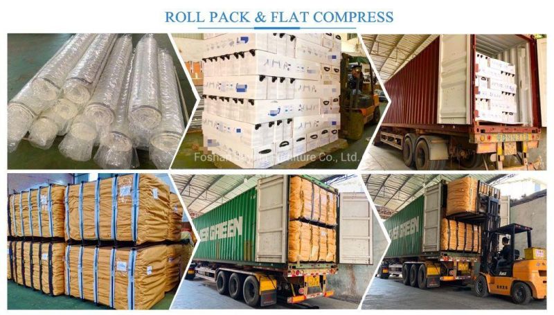 Luxury Coir Mattress Pocket Spring Latex Coil Mattress Roll Packed in Carton