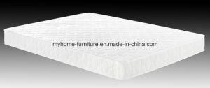 Sleeping Well Comfortable Bonnell Spring mattress