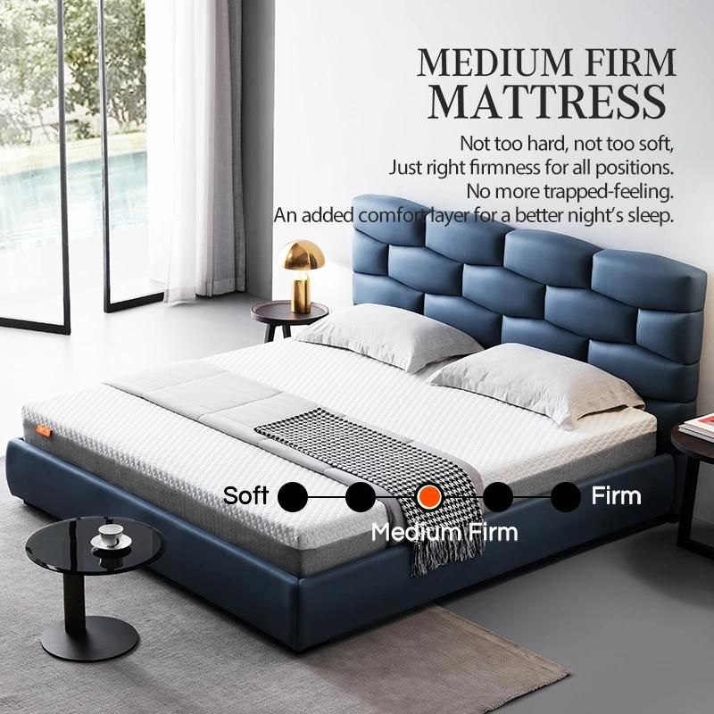 High Quality Hotel Memory Foam Bed King Size in a Box Spring Mattress