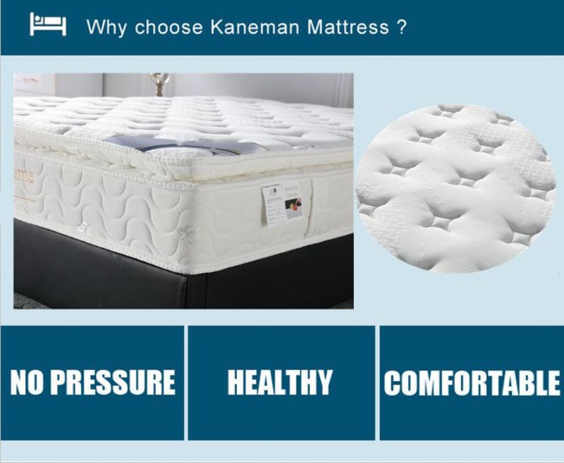 Cheap Hotel Mattress Coil Spring Mattress Pillow Top Mattress in Box