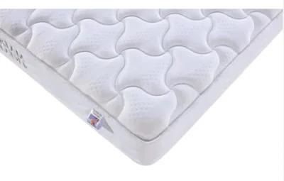 Customized School Dreamleader/OEM Compress and Roll in Carton Box Coconut Fiber Foam Mattress