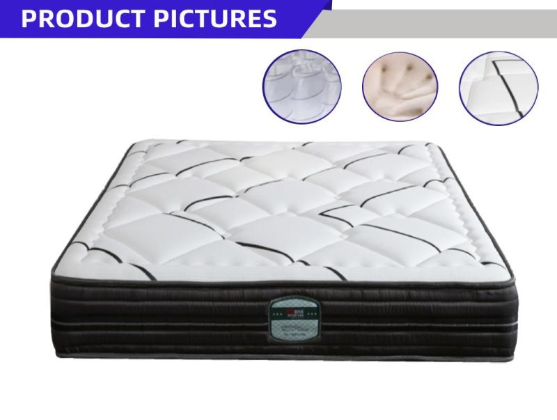 Latex Memory Foam Mattress Coils Pocket Spring Mattress