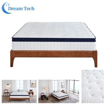 Premium Edges Non Skid Bottom Anti Mites Sofa Coil Continuous Spring Mattress