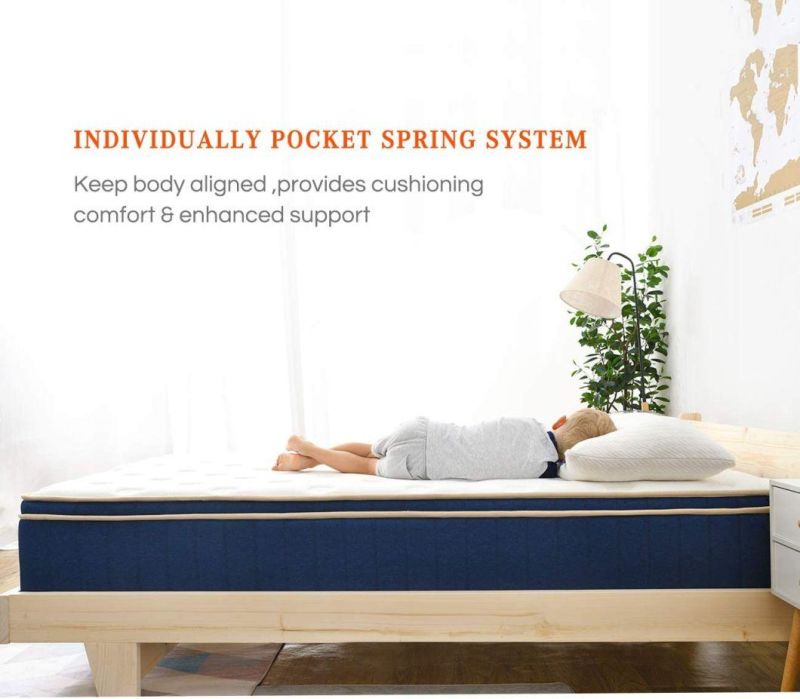 Euro Top Foam Natural Bedroom Latex Baby Mattress Sleep Compressed Hybrid Pocket Spring Mattress