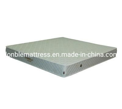 Tip Top China Brand Affordable Mattress