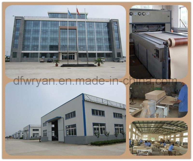 Factory Price High Quality Cabinet Doors