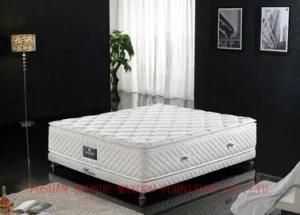 Hotel / Spring / Foam Mattress (MA15)