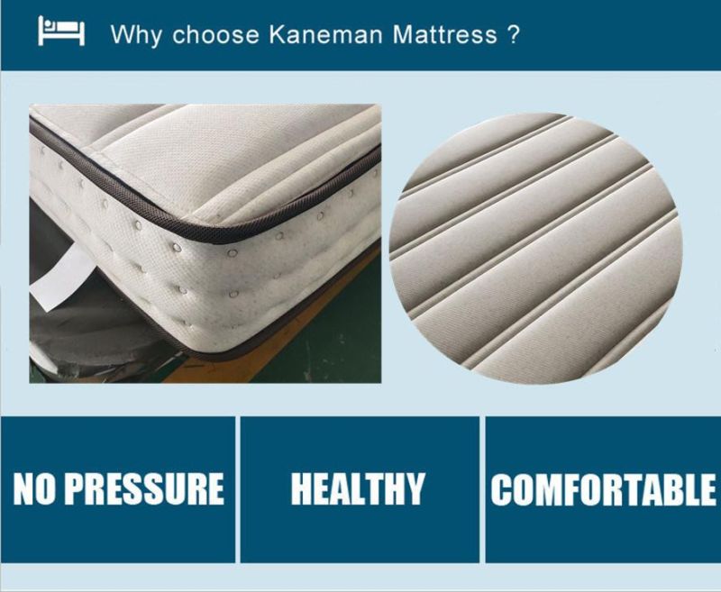 Bed Mattress Bonnell Spring Mattress Roll Packed Mattress in a Box