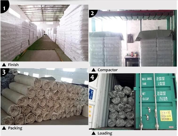 OEM Furniture Independent Mattress Coil Spring Pocket Spring for Mattress