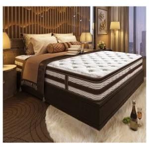 New Packaging Indivani Ultra Soft Plush Foam Ergonomic 40cm Goose Latex Foam Wholesaler Coil Spring Mattress