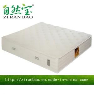 Latest Natrual Cuddle Bedroom Furniture Latex Spring Mattress (ZRB-315)