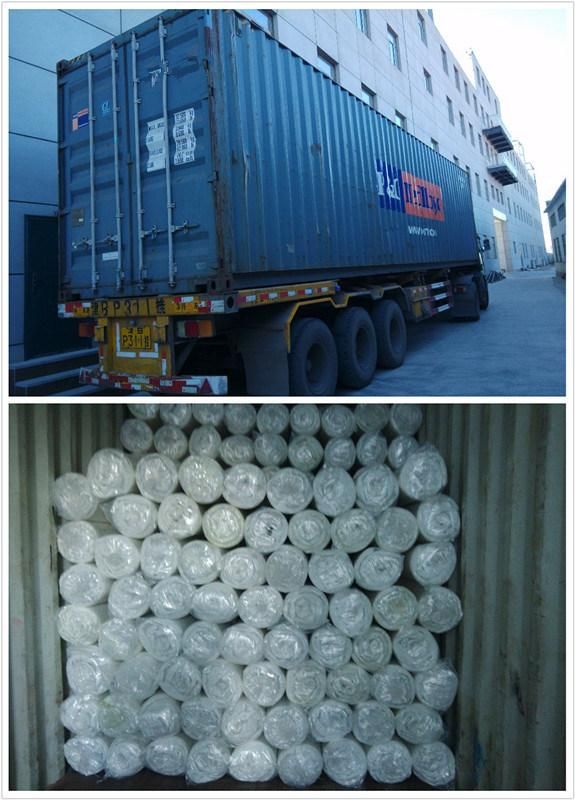 Cheap Price Promotion Vacuum Roll in Bag Foam Mattress