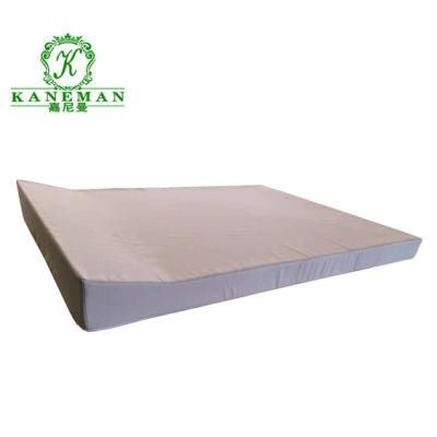 Cheap Sponge Mattress for Prison or Scholl-Foam Mattress Cheap Thin Foam Mattress