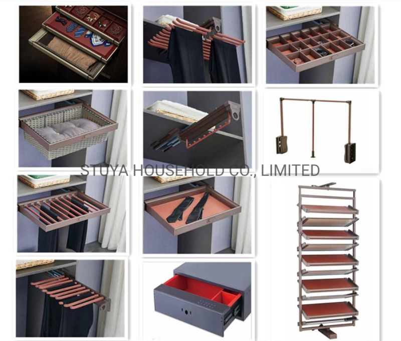 New Design Modern Style Foshan Factory Aluminum with All Glass Wardrobe Cabinet