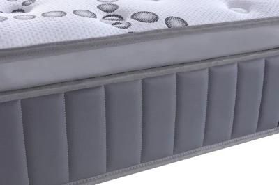 School Rectangular Dreamleader/OEM Compress and Roll in Carton Box Wayfair New Mattress