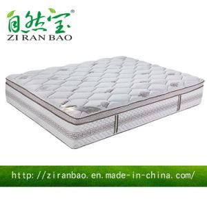 Durable Queen Size High Class Firm Spring Memory Foam Mattress (ZRB-426)