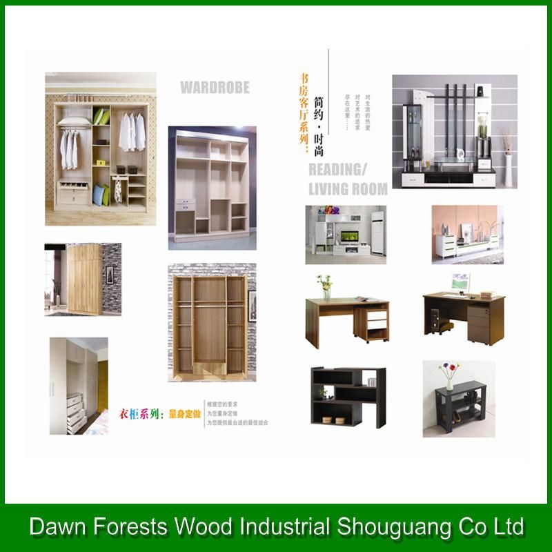 Modern Style Wardrobe with Cheap Price