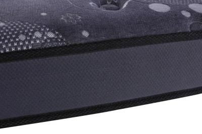 Customized School Dreamleader/OEM Compress and Roll in Carton Box Dream New Mattress
