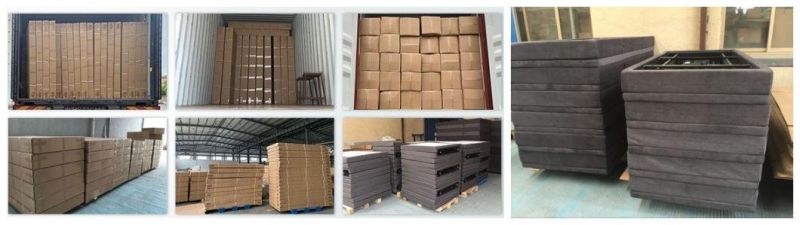 Konfurt Manufacture Electric Auxiliary Nursing Bed Double German Okin Motor Head and Foot Control